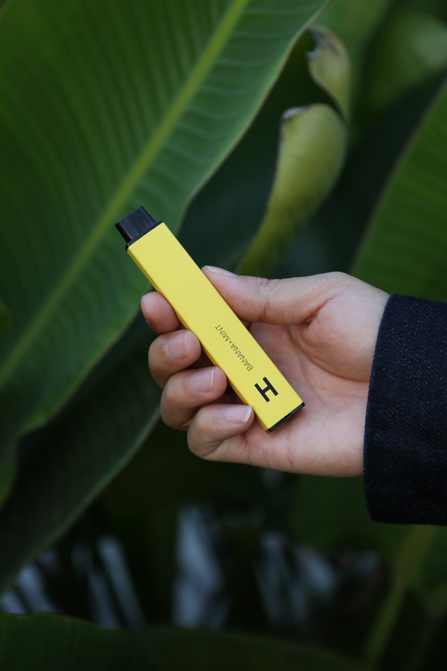 vape bundle