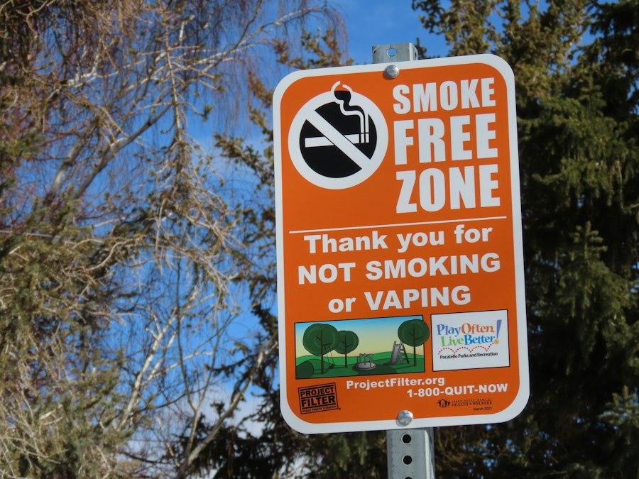 vape mod